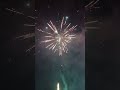 Donnie 🐢 100 Shot 💥 Firework 💯 💣 #fireworkstash #firework #pyros