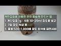 방울토마토 키우기 농약없이 7월 이것만 해줘도 토마토가 주렁주렁