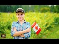 Canada 4K - Scenic Relaxation Film With Calming Music / TOP 30 ROMANTIC GUITAR MUSIC