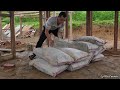 The process of moving construction materials to a new home- Build a floor with your boyfriend's help