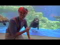 Blippi Explores a FUN Aquarium | Learning Sea Animals For Children | Educational Videos for Kids