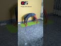 Viral challange#yoga #workout #flexibility #viral#abs