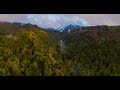 Redwood Light after the rain