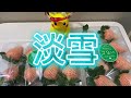 試吃淡雪草莓