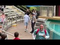 Lots of Laughs With Mime Tom at SeaWorld Orlando | Tom the Mime