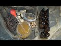 Making Royal Resin Oil