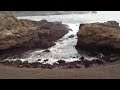 Pt Lobos In Winter