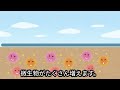 【雑草対策】雑草が生えた固い土に納豆を使ったら凄い事が起こった