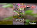 لك  سلمت وبك اكتفي ياالله