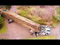 505 Amazing Dangerous Skills Fastest Chainsaw Machines Big Tree Felling At Another Level