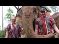 ELEPHANT JUNGLE SANCTUARY | CHIANG MAI, THAILAND
