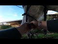 GOPRO POV | Groom, tack up and ride my horse with me on the trail 🐎#horsebackriding #gopro