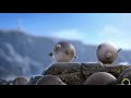 Смешные жирные животные-анимационный короткометражный фильм | анимационные мультфильмы