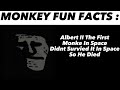 Mr Incredible Becoming Canny (Monkey Fun Facts)😱