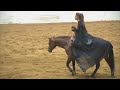 Stacy Westfall - 2011 Congress Freestyle Reining Bridleless- Can Can Vaquero