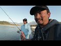 Pink Salmon Cannot Resist a Twitching Jig | Fishing with Rod #salmonfishing #pinksalmon #fishing