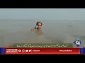 Man loves to take a swim while on the news