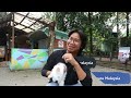(ENG SUB) Zooku at Home 2022 Episode 3 - Children's World | Zoo Negara Malaysia