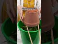 This trick can save your plants