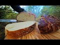 The Best BEEF STEW with Baked Bread in the Forest |  Relaxing Cooking with ASMR