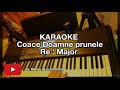 Coace Doamne prunele (Re ' Maj) - KARAOKE