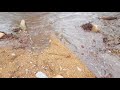 Flash Flood 07/15/17, First Crossing, Payson, AZ