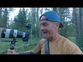 Pure Joy Through Wildlife Photography - With A Great Gray Owl In Wyoming