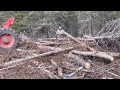 Logging and cruising with the old 230 Timberjack skidder