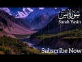 Surah Yasin (YASEEN) سورۃ یس) Relaxing  Calming & Heart touching Quran (zikrullah tv 2 )