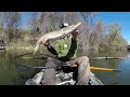 Fishing A Snake Lure For River MONSTERS!