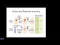 Abbas Chapter 1 Properties and Overview of Immune System (Raje)