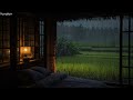 The Sounds of Heavy Rain in a Rice Field | Rain Sounds Without Thunder for Sleeping & Relaxation