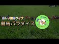 【競馬】函館記念　最終予想！大穴でちゃう？？気楽に手広く勝負！