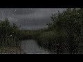 Heavy Rain & Thunder - Rain sounds for Sleep - 1 hour rain sounds for sleep