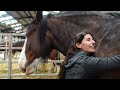 Riding the Clydesdale in Scotland