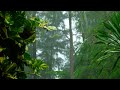 Raining video, Nature