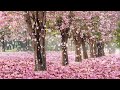 Beautiful Day • Romantic and Beautiful Piano Music for Relaxation