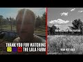 PREPPING for SPRING on The LaLa Farm • TIMELAPSE Garden