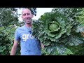 Amazing Garden Harvest on Only 1/9th an Acre, Backyard Sustainable Gardening