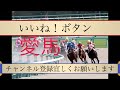 7/29  大井競馬メインサマービーチ賞予想