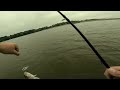 Absolutely Insane White Bass Bite During Crab Orchard Tournament Pre-Fish