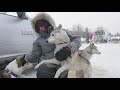 Sled dog Musher Documentary