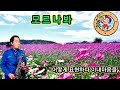 모르나봐 (이혜리) 🎵🌹🎵               로망 어머님 신청곡 테너