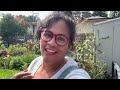 Strawberry Planting the Best for Your Garden | Urban Homestead VLOG