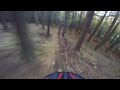 Tollymore Mtb | Fallen Tree Run - Last Section