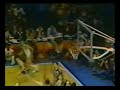 NB70s: Rudy Tomjanovich (1971-77)