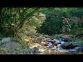 ASMR, Relaxing Nature Sounds