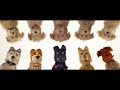 ISLE OF DOGS | Making a World: Weather & Elements | FOX Searchlight