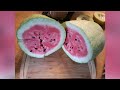 Great watermelon harvest