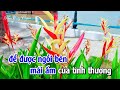 Karaoke Đêm Mưa Nhớ Mẹ Tone Nam Nhạc Sống